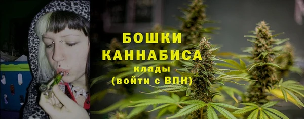 хмурый Волоколамск